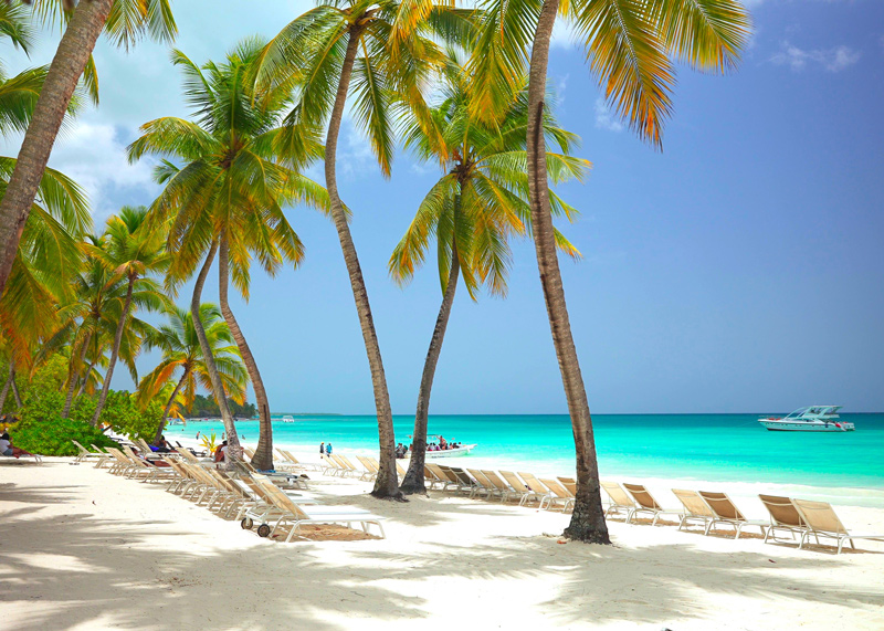 Punta Cana: Saona Island Full-Day Excursion